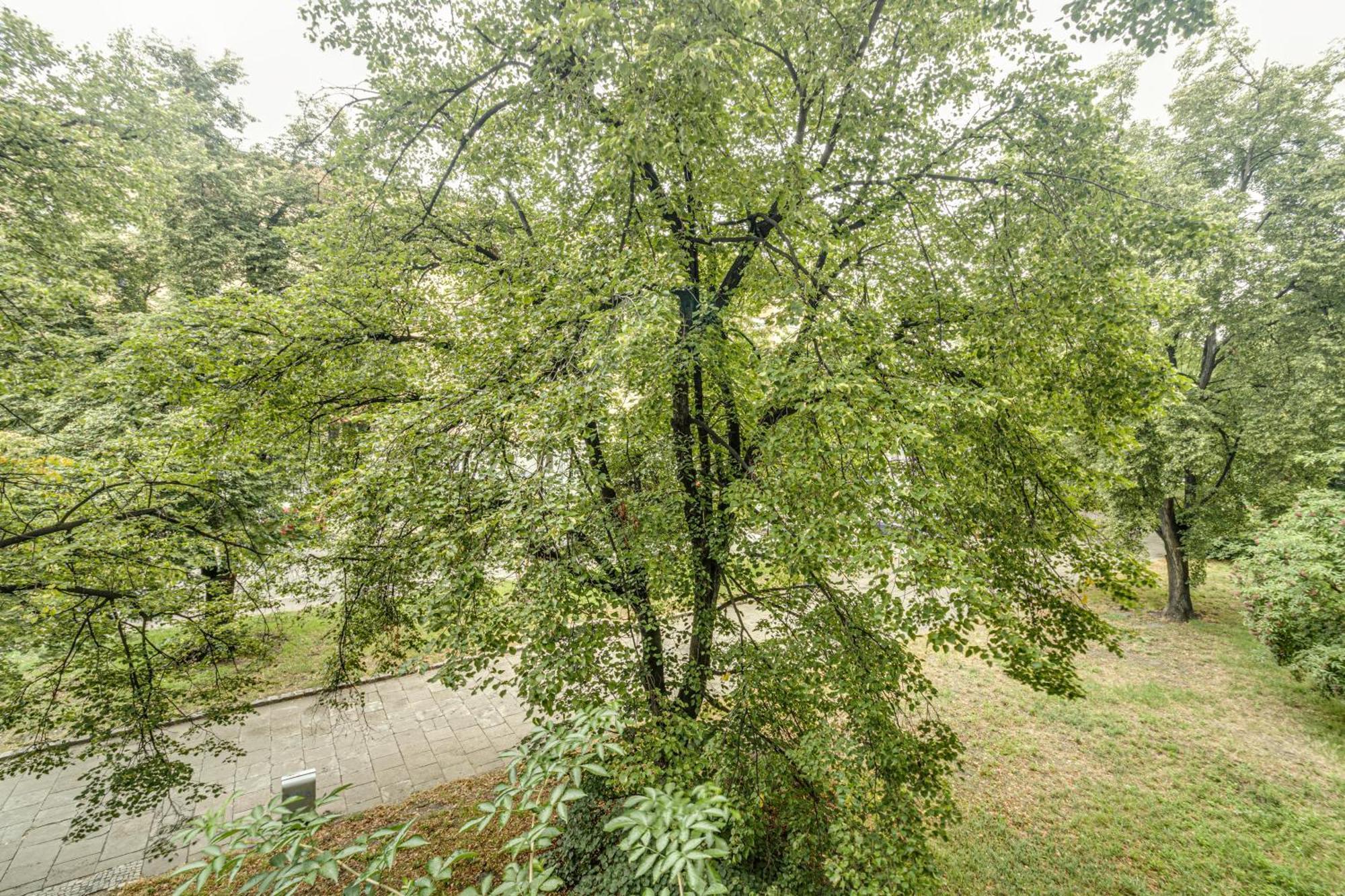 Rentplanet - Apartament Kosciuszki Вроцлав Экстерьер фото