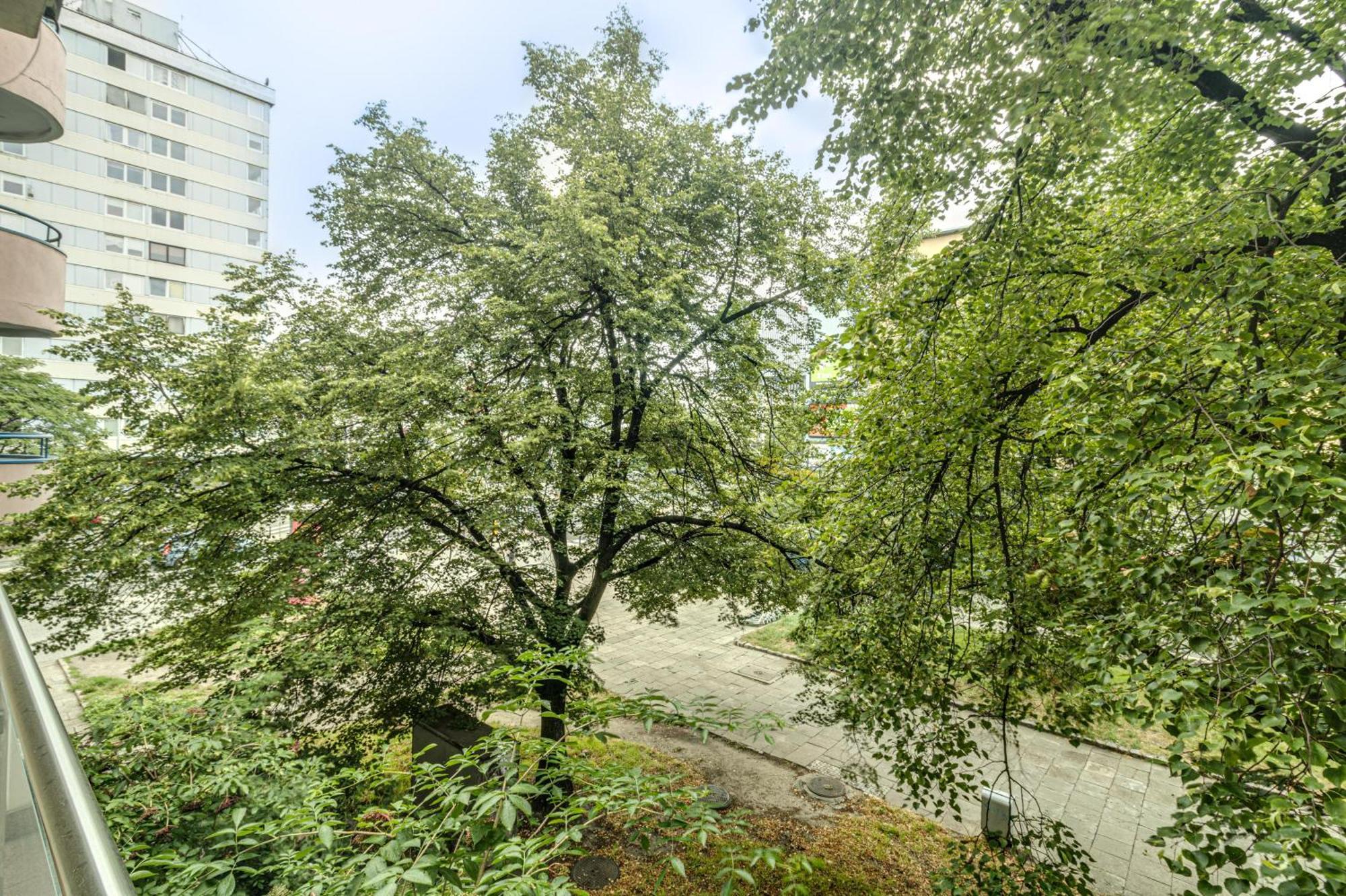Rentplanet - Apartament Kosciuszki Вроцлав Экстерьер фото